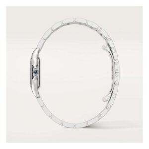 Ca rtier Panthère silver Moyen modèle 2023