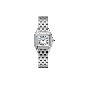 Ca rtier Panthère silver Moyen modèle