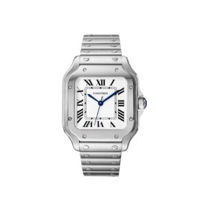 Santos De Cartier Silver